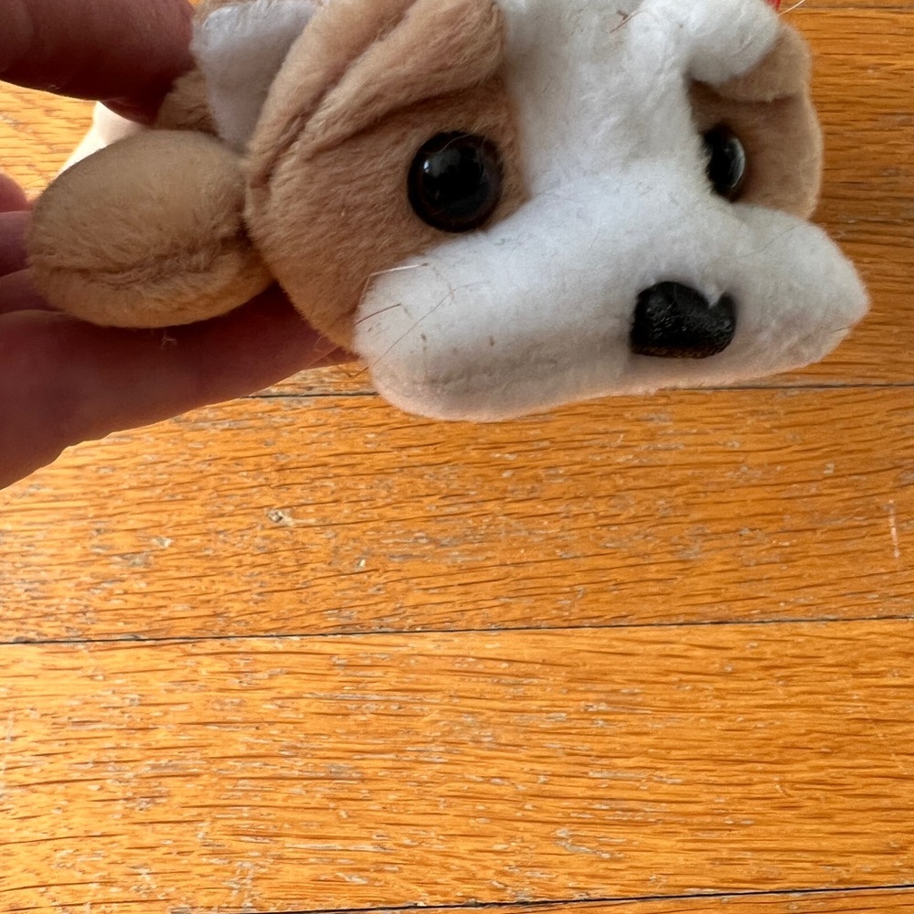 TY Beanie Baby “Wrinkles” Rare & Retirf Plush Dog Toy